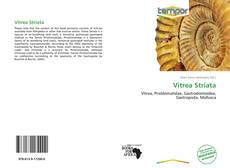 Vitrea Striata kitap kapağı