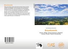 Capa do livro de Brzuskowola 