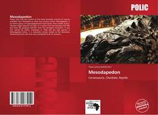 Bookcover of Mesodapedon