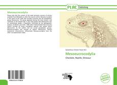 Mesoeucrocodylia kitap kapağı