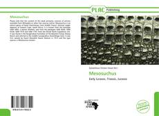 Capa do livro de Mesosuchus 