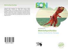 Buchcover von Metriorhynchoidea