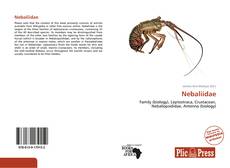 Bookcover of Nebaliidae