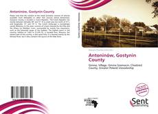 Capa do livro de Antoninów, Gostynin County 