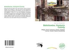 Portada del libro de Bolesławów, Gostynin County