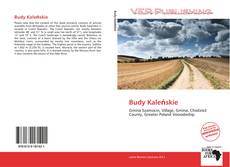 Couverture de Budy Kaleńskie