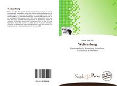 Buchcover von Weltersburg