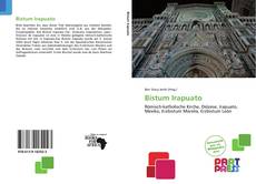 Buchcover von Bistum Irapuato