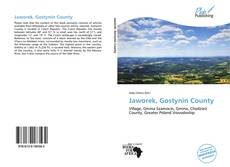 Portada del libro de Jaworek, Gostynin County