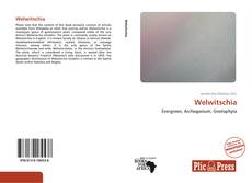 Couverture de Welwitschia