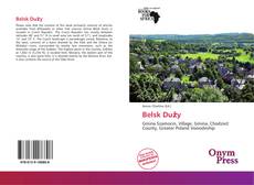 Portada del libro de Belsk Duży