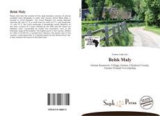 Capa do livro de Belsk Mały 