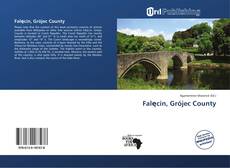 Bookcover of Falęcin, Grójec County