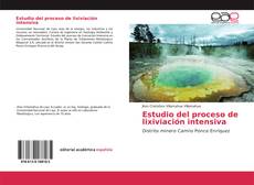 Couverture de Estudio del proceso de lixiviación intensiva