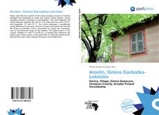 Bookcover of Anielin, Gmina Garbatka-Letnisko