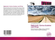 Couverture de Dąbrówki, Gmina Grabów nad Pilicą