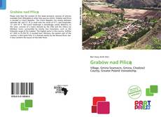 Buchcover von Grabów nad Pilicą