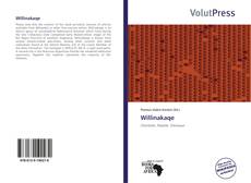 Buchcover von Willinakaqe