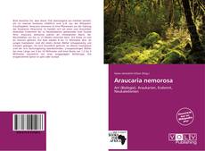 Capa do livro de Araucaria nemorosa 