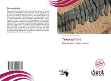 Buchcover von Texacephale