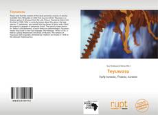 Capa do livro de Teyuwasu 