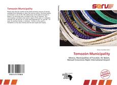 Bookcover of Temozón Municipality