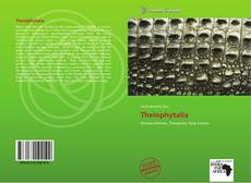 Capa do livro de Theiophytalia 