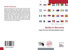 Buchcover von Serbs in Slovenia