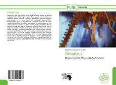 Capa do livro de Tichosteus 