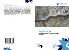 Portada del libro de Tsagantegia