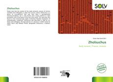 Bookcover of Zholsuchus