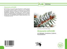 Capa do livro de Araucaria schmidii 