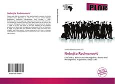 Buchcover von Nebojša Radmanović