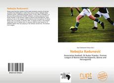 Capa do livro de Nebojša Radunović 