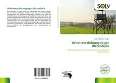 Bookcover of Arbeitserziehungslager Hirzenhain