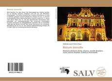 Bistum Joinville kitap kapağı