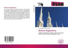 Bookcover of Bistum Kagoshima