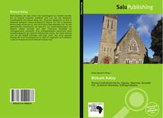 Bookcover of Bistum Kalay