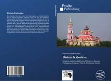 Bookcover of Bistum Kalookan