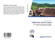 Capa do livro de Dąbrówka, Gmina Lipsko 