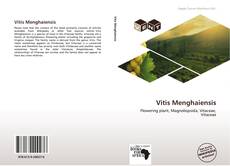 Обложка Vitis Menghaiensis