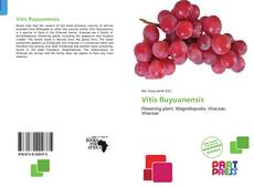 Buchcover von Vitis Ruyuanensis