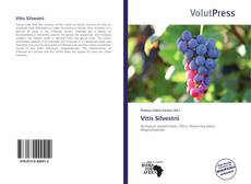 Couverture de Vitis Silvestrii