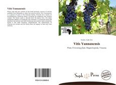 Bookcover of Vitis Yunnanensis