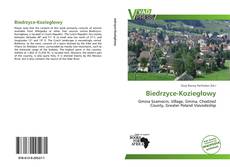 Capa do livro de Biedrzyce-Koziegłowy 