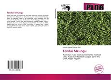 Buchcover von Tendai Mzungu