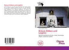 Portada del libro de Bistum Kildare und Leighlin