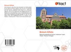 Bookcover of Bistum Killala