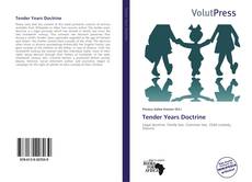 Copertina di Tender Years Doctrine