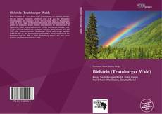 Buchcover von Bielstein (Teutoburger Wald)